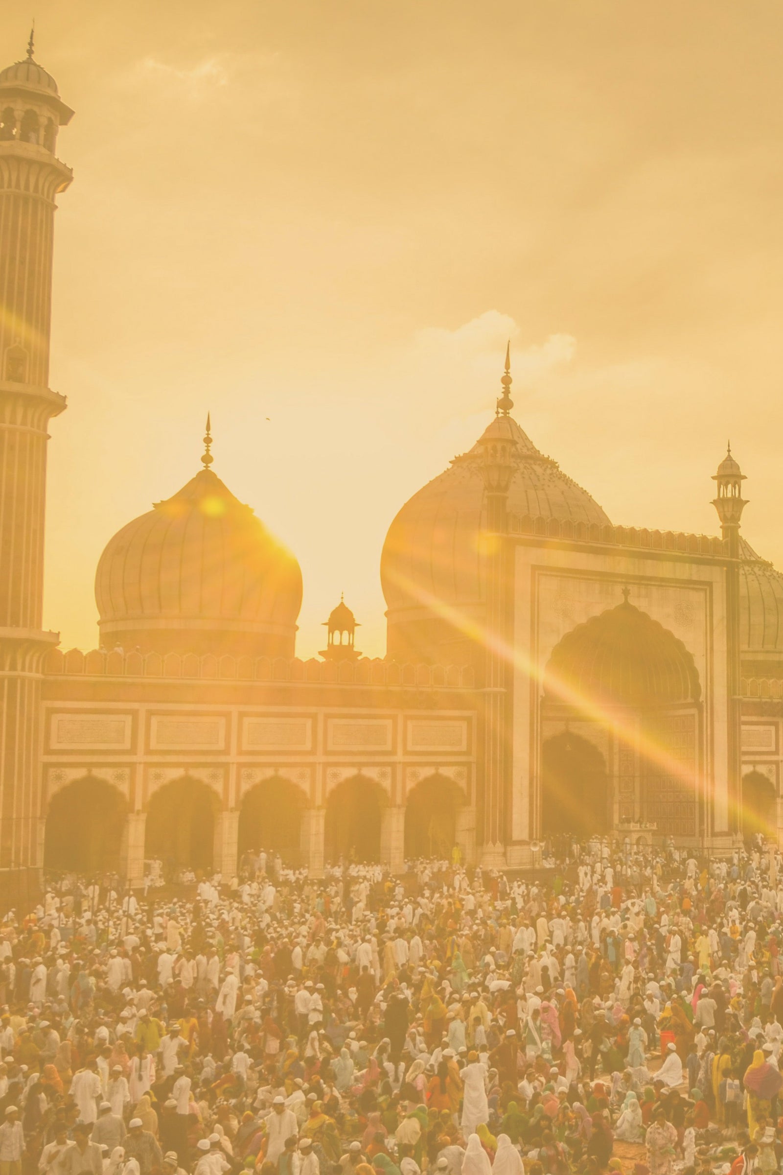 DELHI
